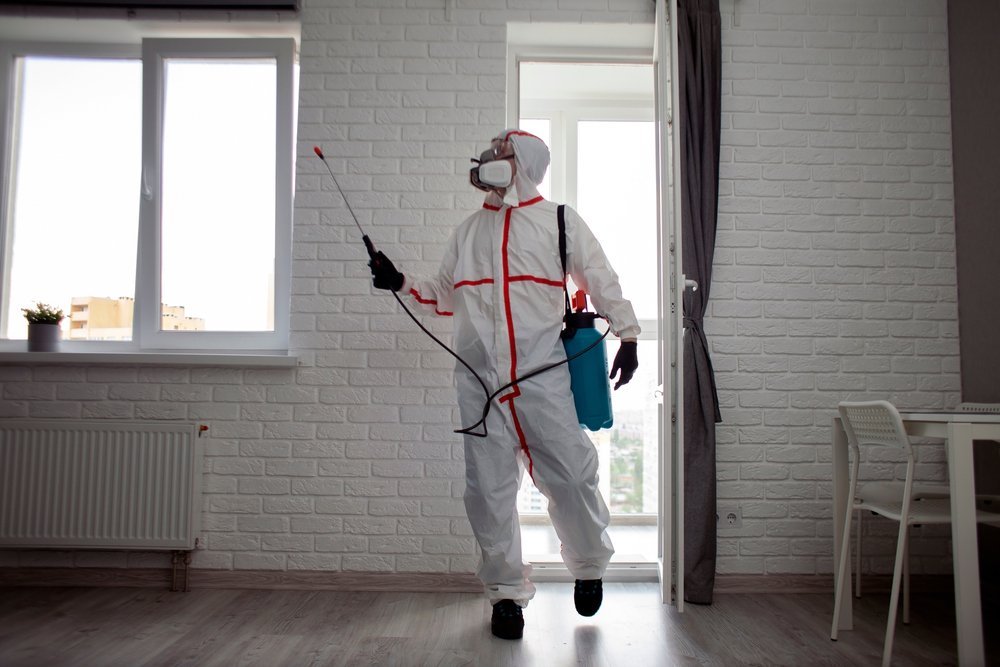 man spraying for bugs