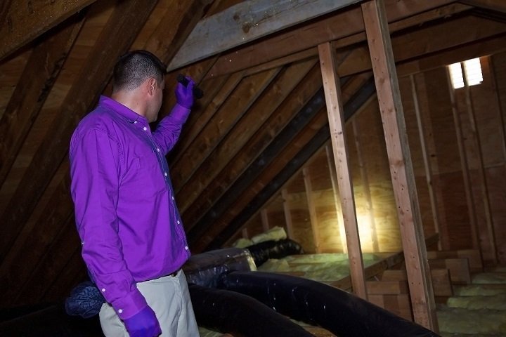 man in a purple shirt holding a falshlight up in an attic