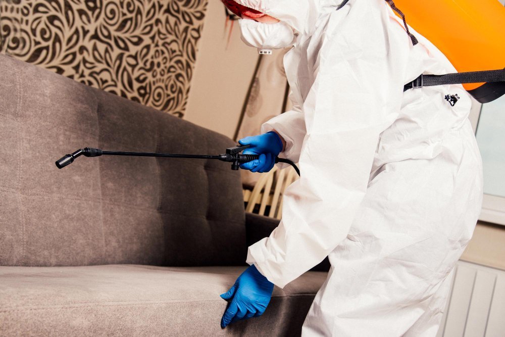 person spraying a couch for bugs