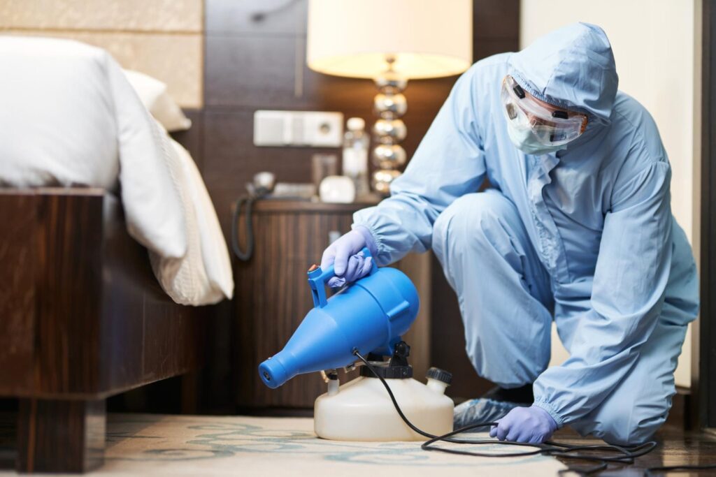 spraying for bed bugs