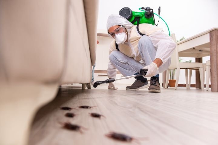 exterminator spraying bugs under couch